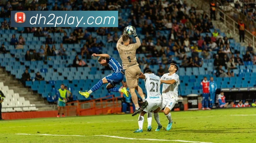 鼎汇2官网APP 封面图