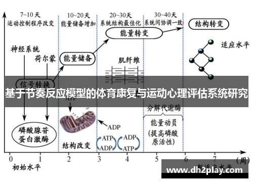 基于节奏反应模型的体育康复与运动心理评估系统研究